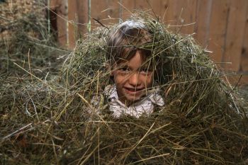 Rustic Hay Nights